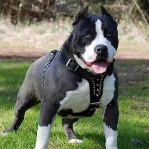 Meet your Posher, Edgar